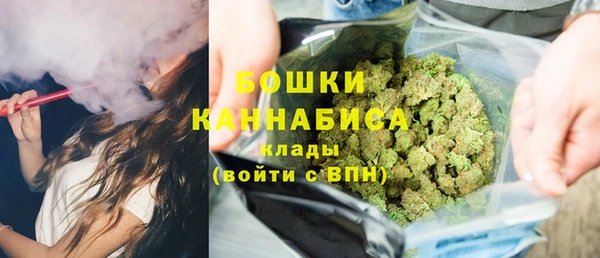 молекула духа Костерёво