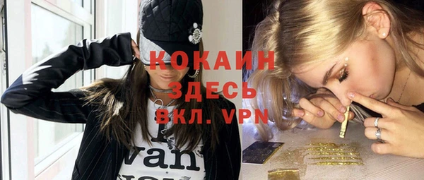 молекула духа Костерёво