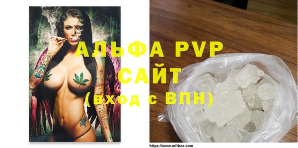 молекула духа Костерёво